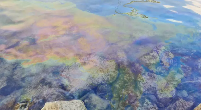 VYHODNOTENIE ČINNOSTI SLOVENSKEJ INŠPEKCIE ŽIVOTNÉHO PROSTREDIA ZA ROK 2020