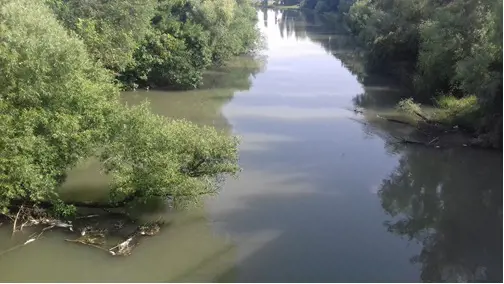 Znečistenie vodného toku Malý Dunaj