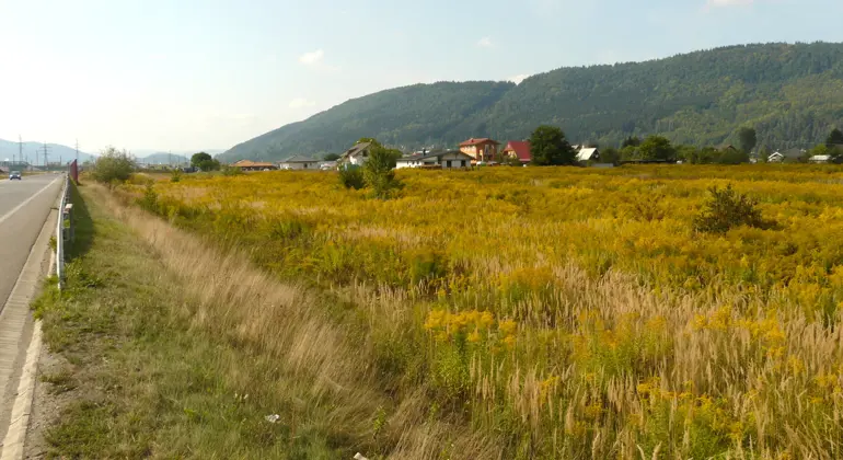 Invázne druhy na Slovensku