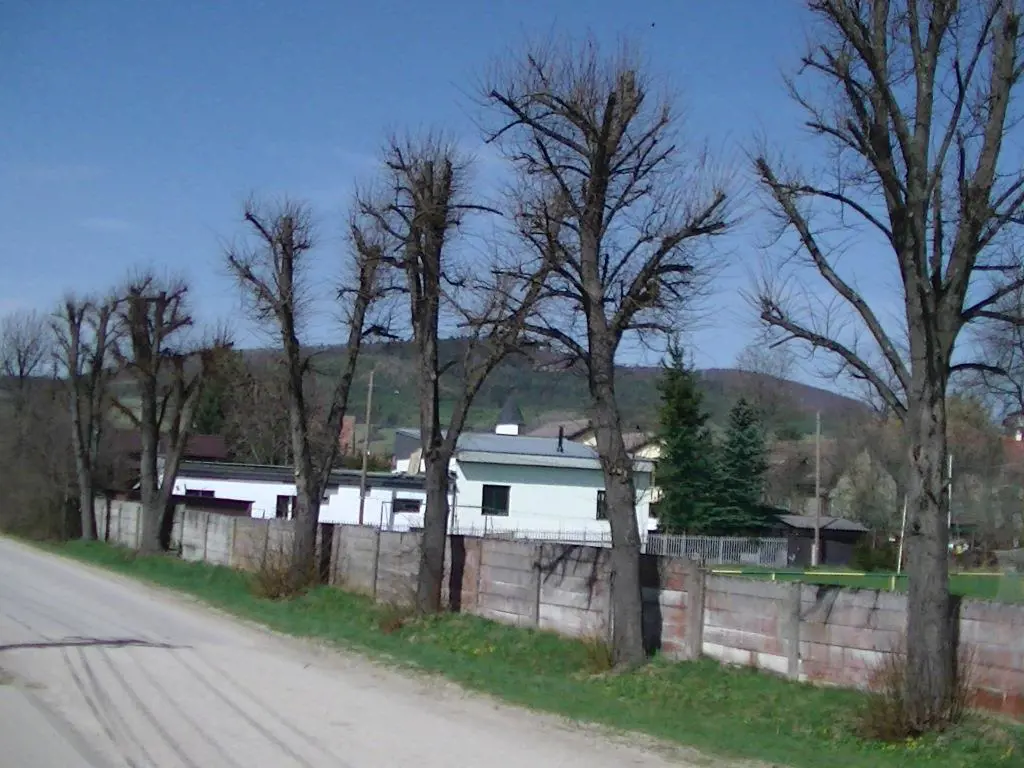 Starostlivosť o dreviny